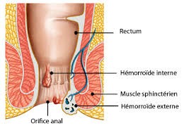 Anatomie du canal anal