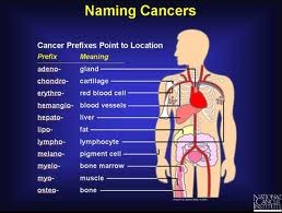 Noms des cancers