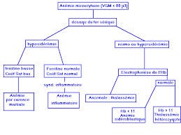 Démarche diagnostique