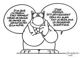 Le Chat chercheur