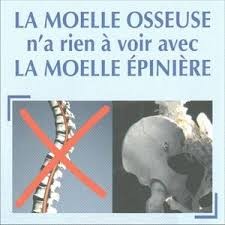 Moelle épinière et moelle osseuse